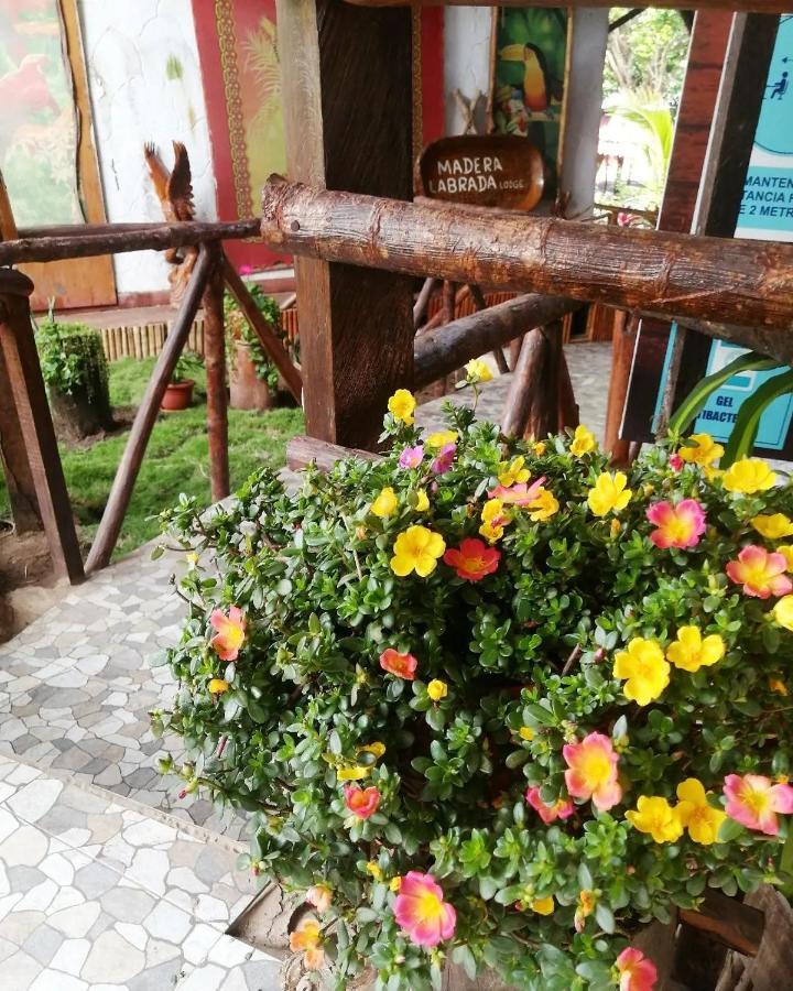 Madera Labrada Lodge Ecologico Tarapoto Exteriér fotografie